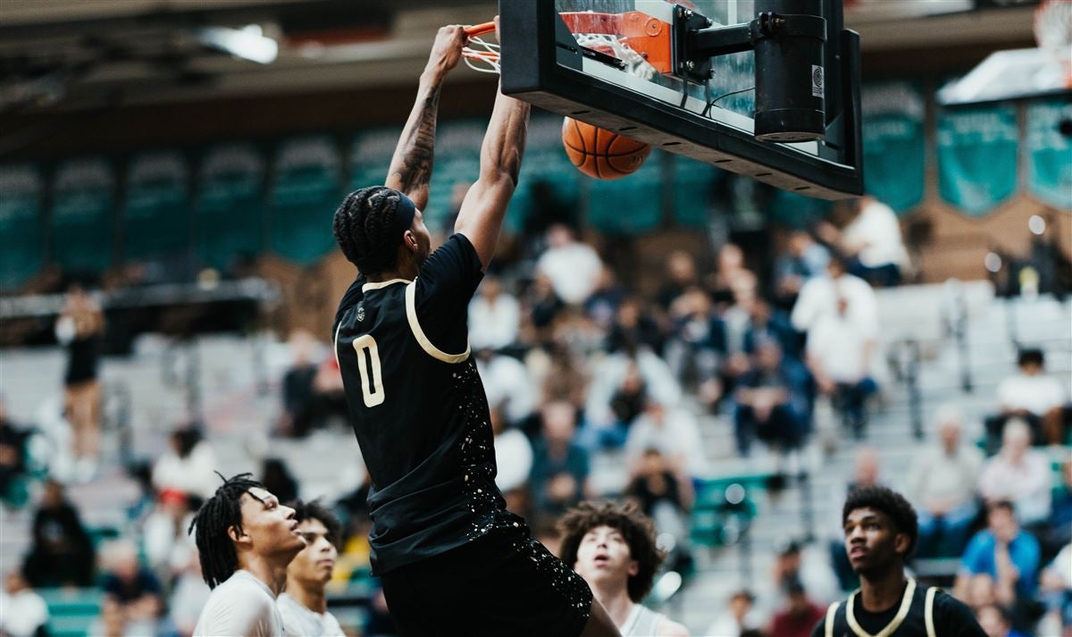 立体化体验 立体化体验