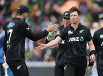 他们追求卓 他们追求卓